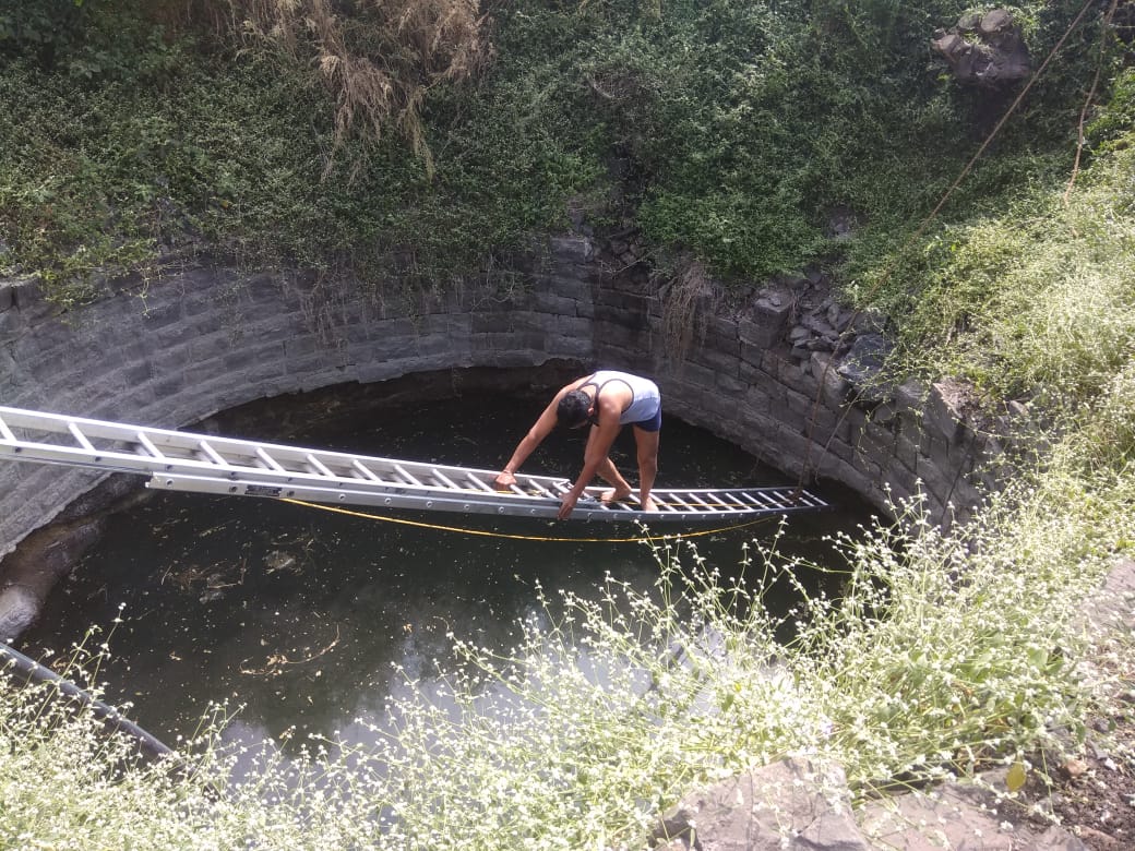 विहिरीत पडलेल्या श्‍वानाला जीवनदान!