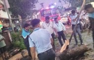 पिंपरी चिंचवडला अवकाळी पावसाने झोडपले; शहरात २४ ठिकाणी झाडे पडल्याच्या घटना