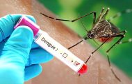 पिंपरी चिंचवडमध्ये डेंग्यूचे महिनाभरात ५ रुग्ण; ८६३ संशयित रुग्णांची तपासणी