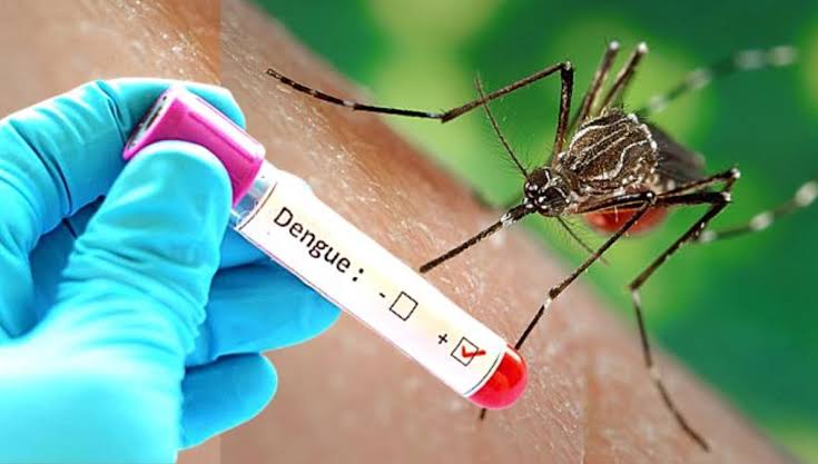 पिंपरी चिंचवडमध्ये डेंग्यूचे महिनाभरात ५ रुग्ण; ८६३ संशयित रुग्णांची तपासणी