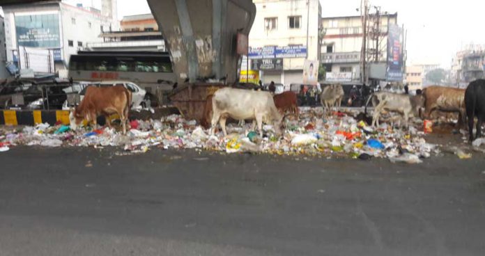 भोसरीतील १०० कोटींचा पूल कचऱ्यात!