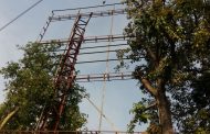 वृक्षतोड प्रकरणी 'मे ब्लू स्काय मीडिया' आणि 'धिरेंद्र ग्रुप'वर कारवाईची मागणी; ब्लू स्काय मीडीयाने आरोप फेटाळले