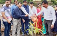 पर्यावरणाचा समतोल राखण्यासाठी वृक्षारोपण व संवर्धन करणे काळाची गरज - एकनाथ पवार