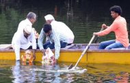पिंपरी चिंचवडमध्ये ५ दिवसांच्या बाप्पांसोबत गौराईंचे विसर्जन