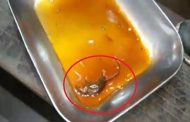 पुण्यात समोश्याच्या चटणीत मेलेला उंदीर सापडला!
