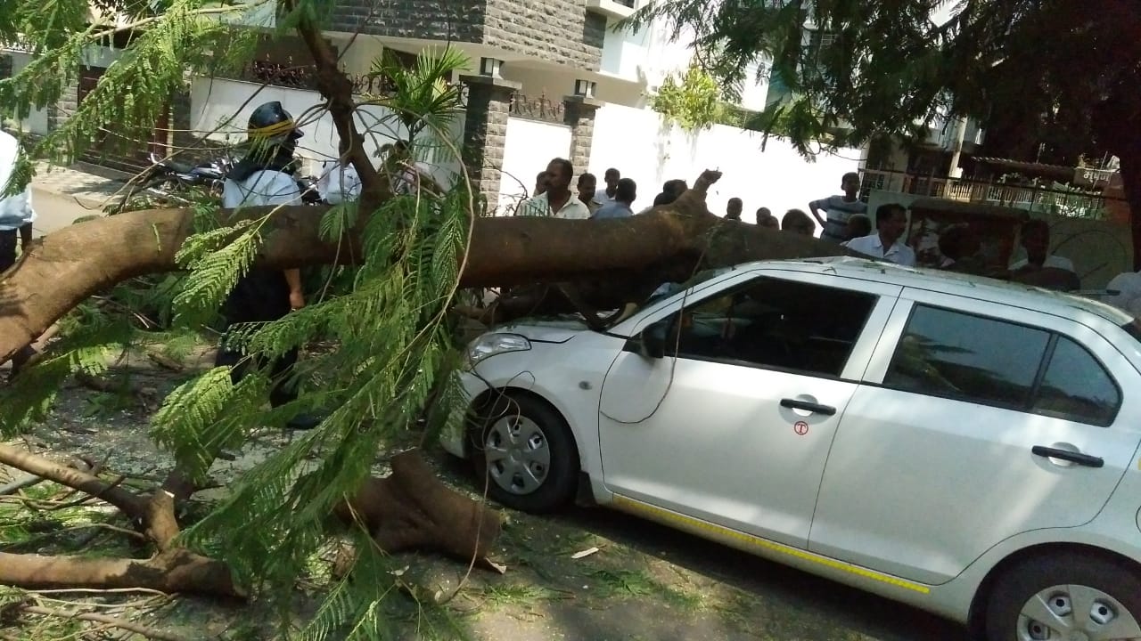 गंगानगर येथे वाहनावर झाड कोसळले