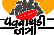 सांगवीत उद्यापासून 'पवनाथडी' जत्रा