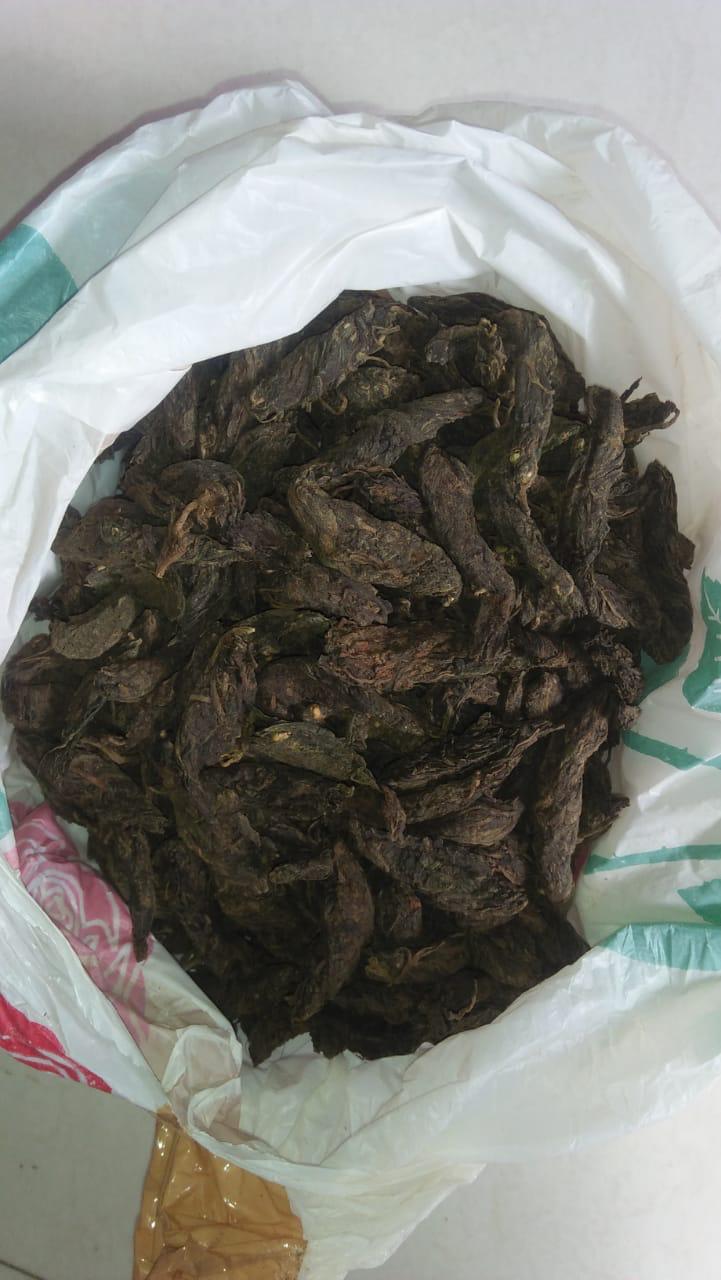 पुणे-मुंबई महामार्गावर ३६ लाखाचा गांजा पकडला; अंमली पदार्थ विरोधी पथकाची कारवाई