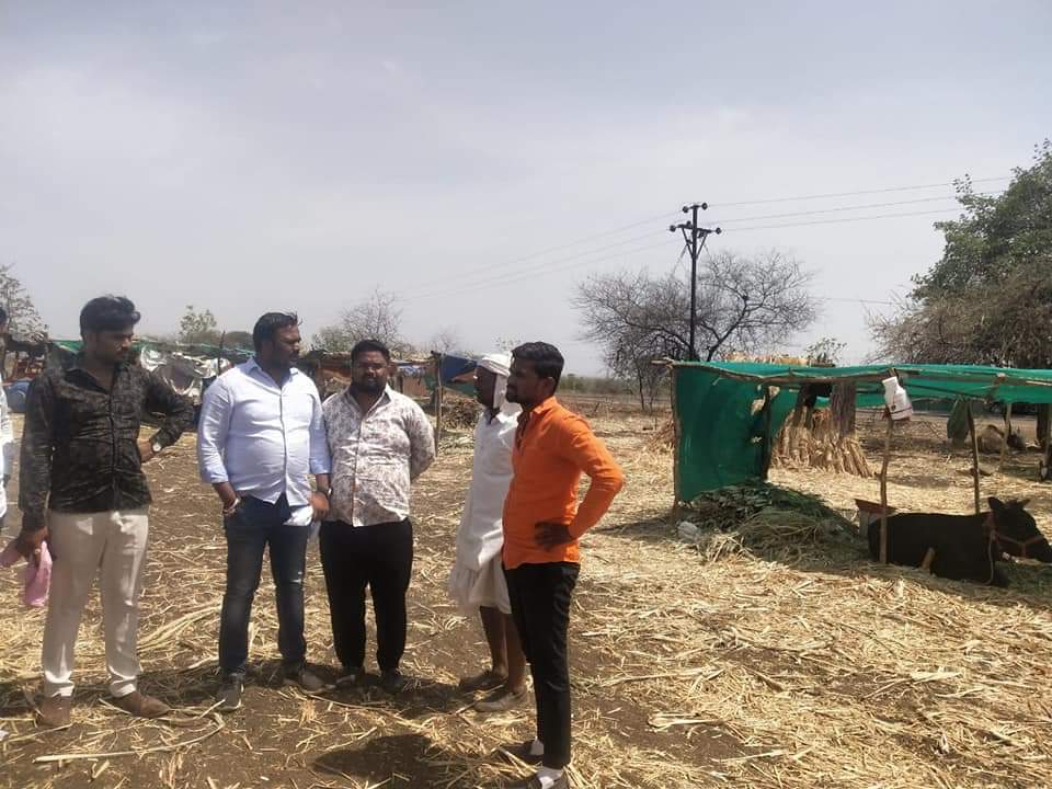 नगर जिल्ह्यातील चारा छावण्यांना मनसे शहराध्यक्ष सचिन चिखले यांची भेट..!