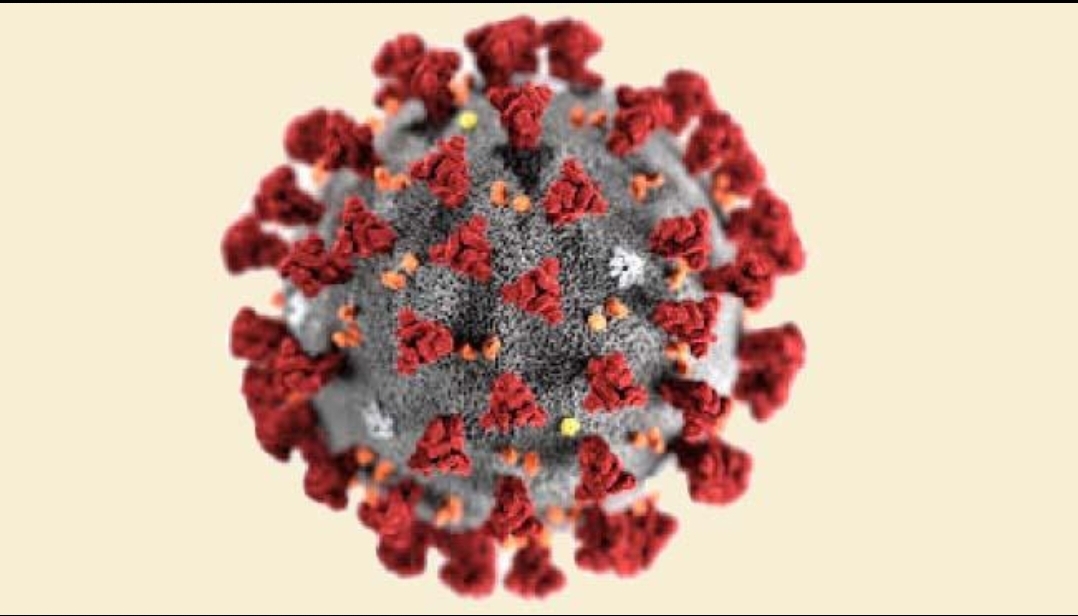 कोरोनाग्रस्तांच्या संपर्कात आलेल्या एका पोलिसासह १० जण पिंपरीतील महापालिका रुग्णालयात दाखल