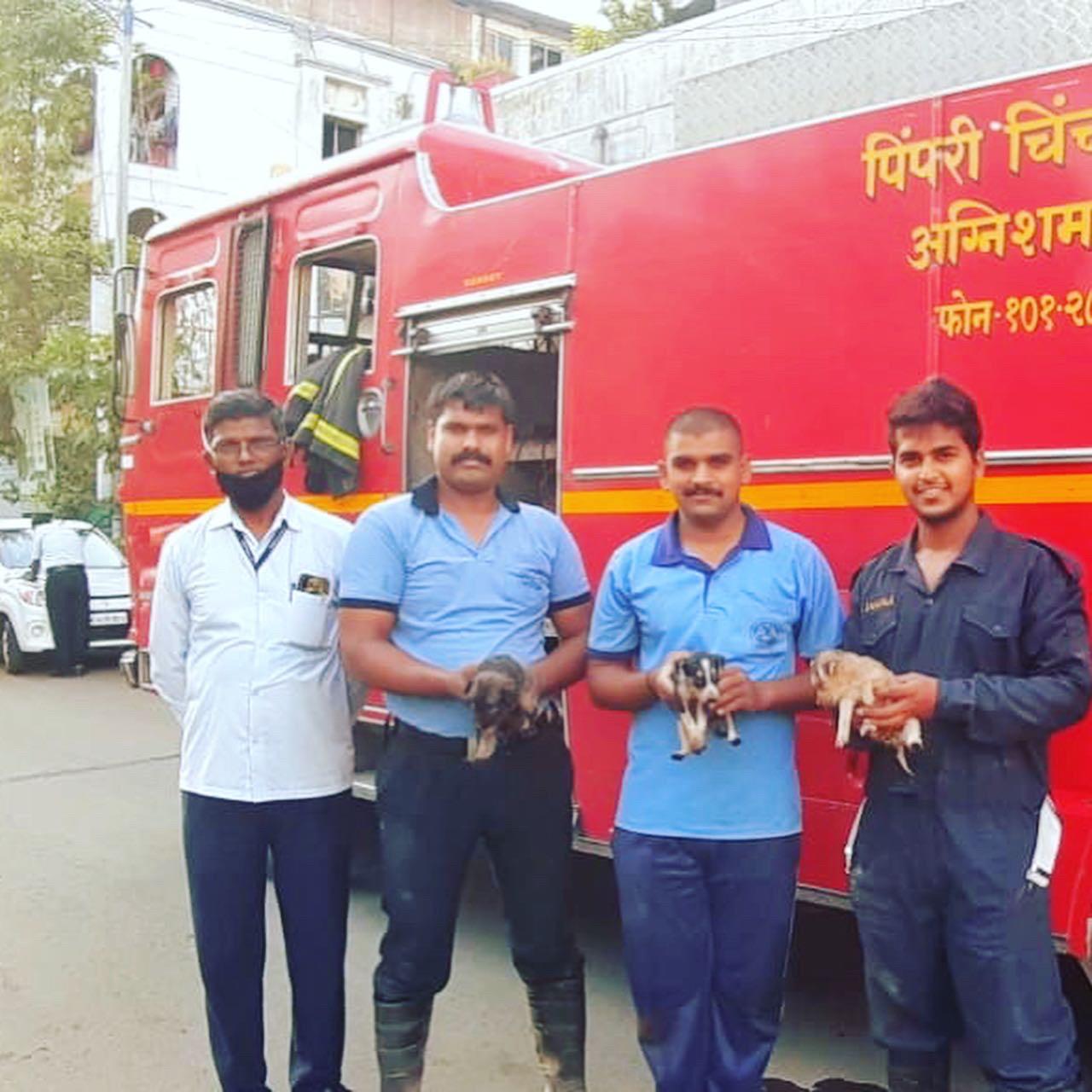 खोल खड्ड्यात पडलेल्या ३ पिलांना अग्निशामक दलाच्या जवानांनी सुखरूप बाहेर काढले..!