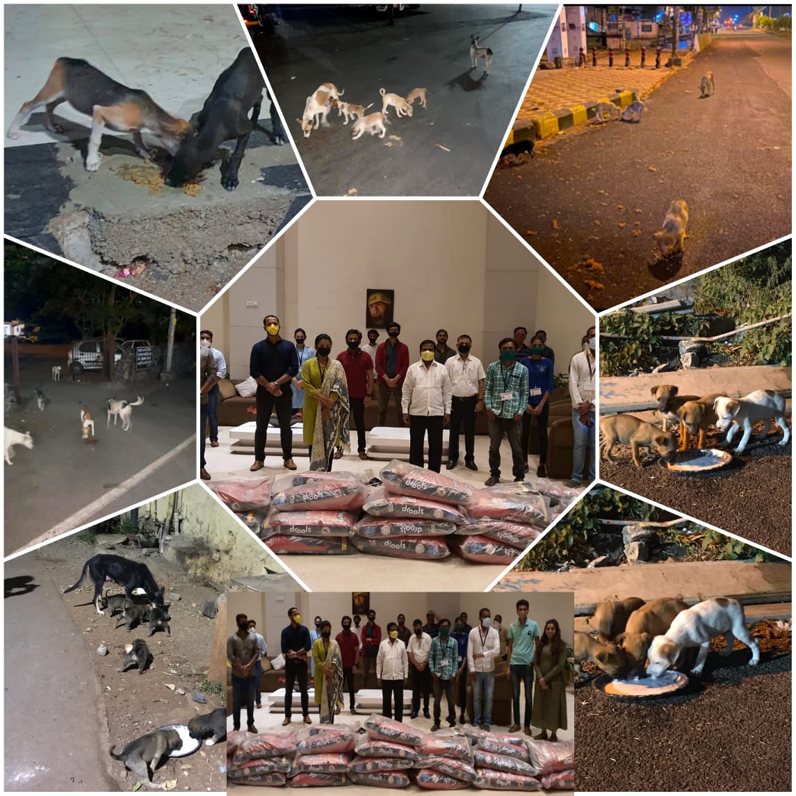 आमदार अण्णा बनसोडे तुमच्या कार्याला सलाम.. शहरातील भटक्या कुत्र्यांसह जनावरांना एका महिन्याचे खाद्य पुरविले..!