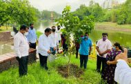 युवासेना प्रमुख आदित्य ठाकरे यांच्या वाढदिवसानिमित्त थेरगावमध्ये वृक्षारोपण