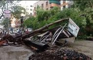 पिंपळे गुरवमधील काटे पुरम चौकात झाड रस्त्यावर कोसळले; रिक्षासह दुचाकीचे मोठे नुकसान