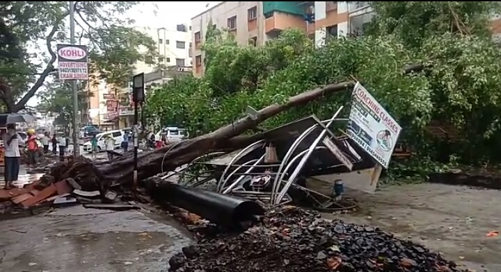 पिंपळे गुरवमधील काटे पुरम चौकात झाड रस्त्यावर कोसळले; रिक्षासह दुचाकीचे मोठे नुकसान