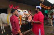 आमदार महेश लांडगे यांनी सहकुटुंब पारंपारिक पद्धतीने साजरा केला 'बैलपोळा'
