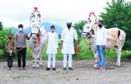 पंतप्रधान नरेंद्र मोदींच्या वाढदिवसानिमित्त आयोजित 'सर्जा-राजा' बैलजोडी छायचित्र स्पर्धेला जिल्ह्यात उत्स्फुर्त प्रतिसाद
