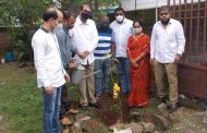 राष्ट्रवादी व्यापारी सेलचे दिवंगत अध्यक्ष प्रदीप गायकवाड यांच्या जयंतीनिमित्त वृक्षारोपण