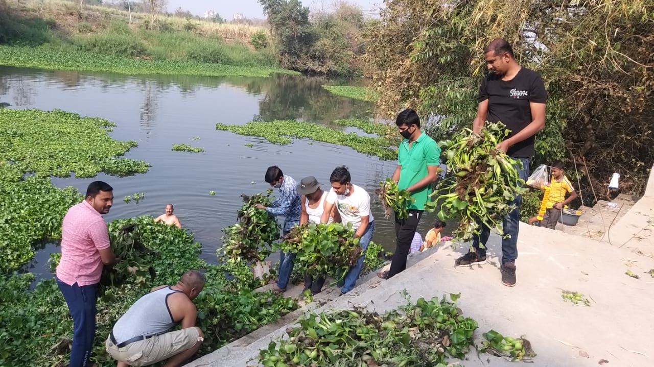 पवना नदीतील जलपर्णी काढण्यासाठी किवळे युवा मंचचा पुढाकार