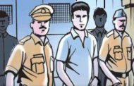 तडीपार आरोपीची थेट पोलिसांनाच धक्काबुक्की
