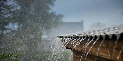 पुणे, पालघर आणि नाशिकमध्ये आज जोरदार पावसाचा अंदाज