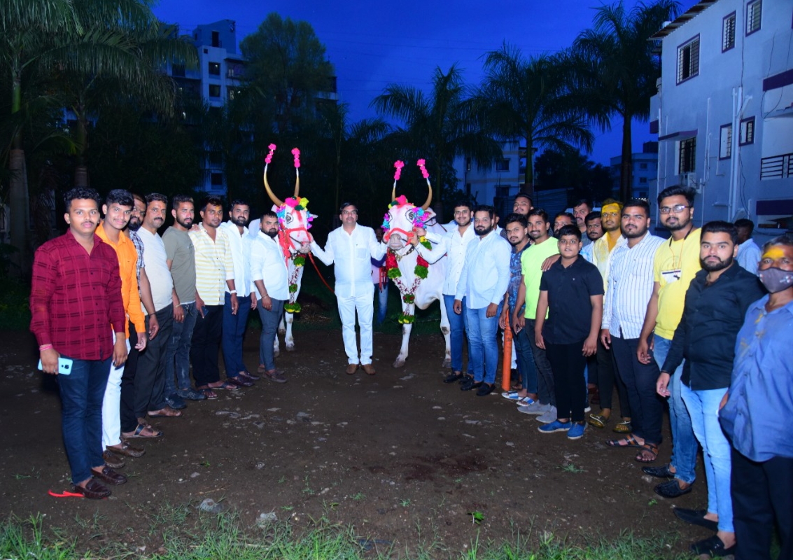 पिंपळे गुरवमध्ये शामभाऊ जगताप परिवाराच्या वतीने बैलपोळा उत्साहात साजरा