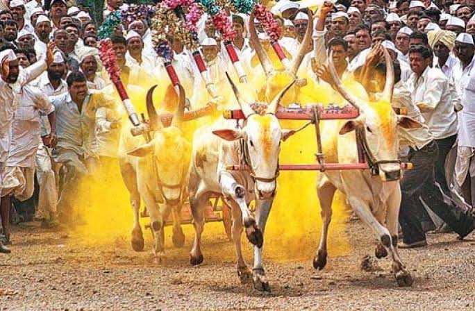 बैलगाडा शर्यत बंदी उठविण्यासाठी राज्य सरकारने सर्वोच्च न्यायालयात केलेल्या अपिलावर सोमवारी सुनावणी