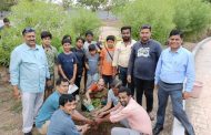 चिमुकल्यांचे नाव झाडाला देऊन वृक्ष संवर्धन करा - अक्षय शहरकर