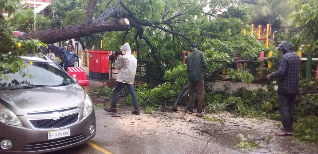 पिंपळे सौदागरमध्ये कारवर झाड कोसळले, थेरगावातही रस्त्यावर झाड पडल्याची घटना
