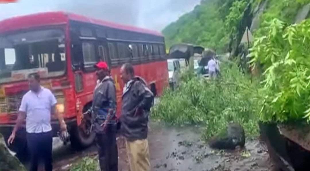 कात्रज घाटात पुन्हा दरड कोसळली, सुदैवानं जीवितहानी नाही