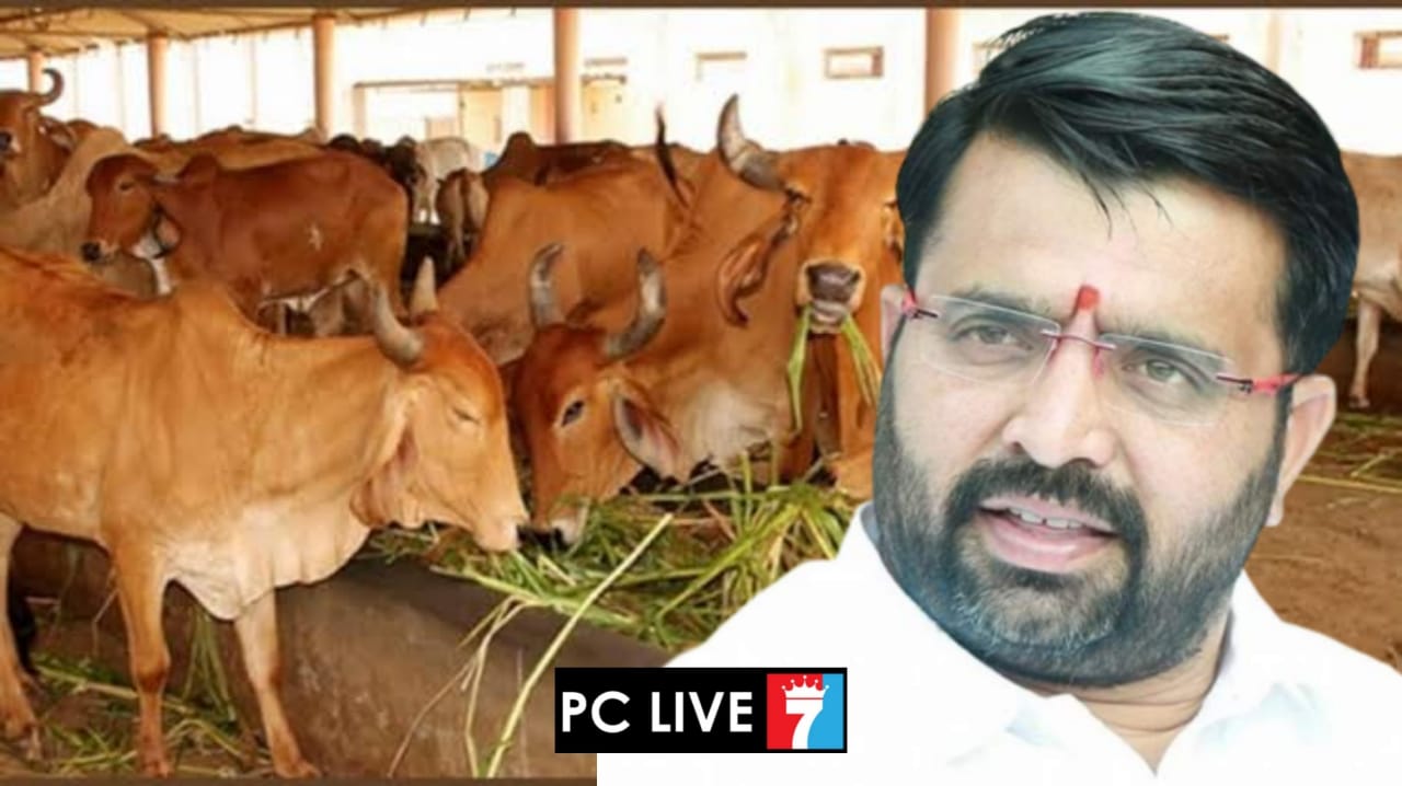 पिंपरी-चिंचवडमध्ये 'गोशाळा' उभारण्यासाठी आमदार महेश लांडगे आग्रही; गोशाळेला जागा अन् पायाभूत सुविधांसाठी महापालिका आयुक्तांकडे मागणी