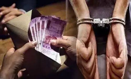 पिंपरी चिंचवड महापालिकेत लाचलुचपत प्रतिबंधक विभागाचा छापा; नगररचना विभागातील सर्व्हेअर ताब्यात