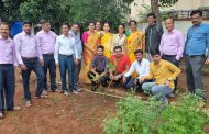 स्वर्गवासी मित्रांची आठवण म्हणून, संभाजीनगर येथील सुबोध विद्यालयाच्या माजी विद्यार्थ्यांनी लावलं 'मैत्रीचं झाड'