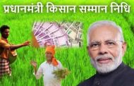 प्रधानमंत्री किसान सन्मान निधी पोर्टलवर ई-केवायसी करण्यास ७ सप्टेंबरपर्यंत मुदतवाढ