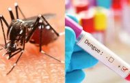नवी सांगवीत तरुणाचा डेंग्यूमुळे मृत्यू, नागरिकांमध्ये भितीचे वातावरण
