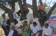 कवी झाडावर... कविता पर्यावरणावर साहित्य विश्वातील पहिले अनोखे कविसंमेलन