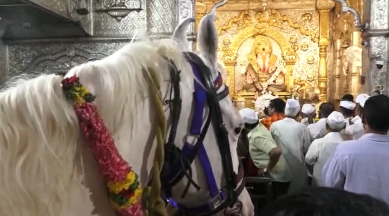 श्रीमंत दगडूशेठ हलवाई गणपतींच्या चरणी माऊलींचे अश्व नतमस्तक
