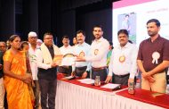 महापालिकेच्या वतीने आदर्श शिक्षकांचा सन्मान