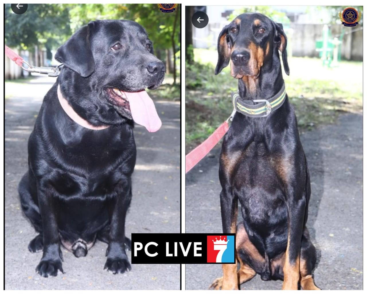 'सिम्बा' आणि 'जेम्स' हे दोन अधिकारी पिंपरी चिंचवड पोलीस दलात दाखल..!