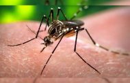 गेल्या २० दिवसात डेंग्यूसदृश्य आजाराने दोन चिमुकल्यांचा मृत्यू