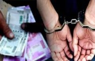 पीएचडी प्रबंधासाठी २० हजारांची लाच घेताना गाईड जाळ्यात; डॉक्टरेट प्राध्यापिकेला एसीबीने रंगेहात पकडले