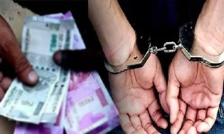 पीएचडी प्रबंधासाठी २० हजारांची लाच घेताना गाईड जाळ्यात; डॉक्टरेट प्राध्यापिकेला एसीबीने रंगेहात पकडले