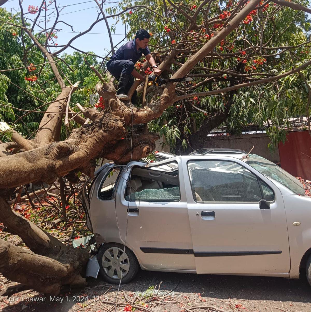 चिंचवडमध्ये भलेमोठे झाड गाडीवर कोसळले