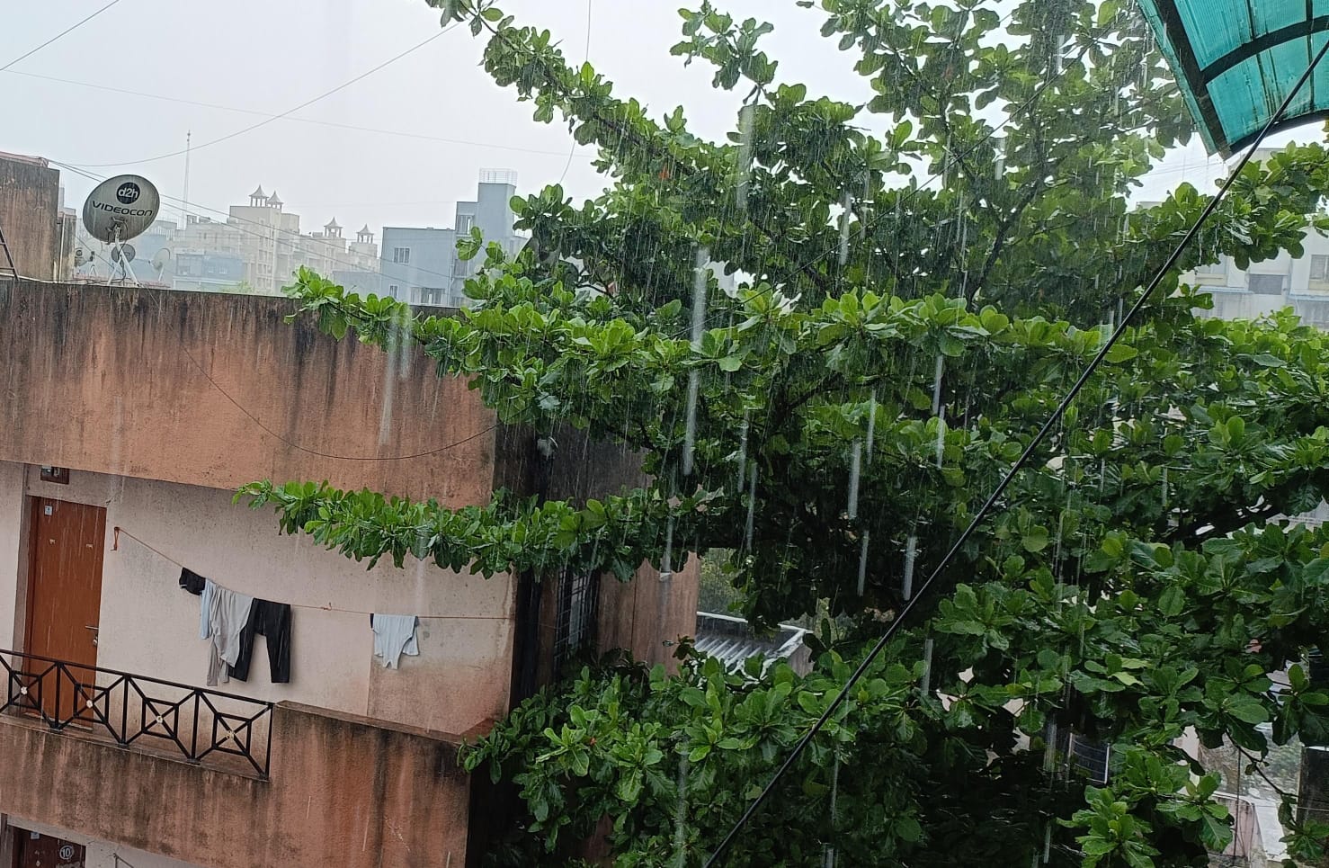 पिंपरी-चिंचवड शहरात ढगांच्या गडगडाटासह मुसळधार पावसाची हजेरी