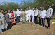 श्री क्षेत्र भंडारा डोंगर ट्रस्ट व मराठवाडा जनविकास संघाच्या वतीने वृक्षारोपण करून पर्यावरण दिन साजरा
