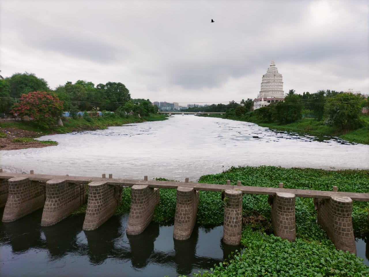 आषाढी पालखी सोहळा आला तरी इंद्रायणी नदी फेसाळलेलीच..!