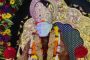 स्व. रतन टाटा यांना श्रद्धांजली अर्पण करण्यासाठी सायन्स पार्कमध्ये शुक्रवारी सभा