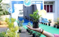 शहरातील १५ हरित मतदान केंद्रावर विविध वनस्पतींचे माहिती प्रदर्शन; पिंपरी चिंचवड महापालिकेचा अभिनव उपक्रम