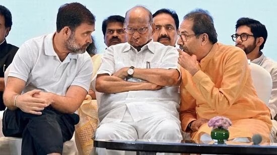 ईव्हीएम विरोधात इंडिया आघाडी सर्वोच्च न्यायालयात धाव घेणार