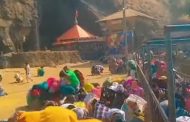 एकविरा गडावर मधमाश्यांचा भाविकांवर हल्ला, अनेकजण जखमी